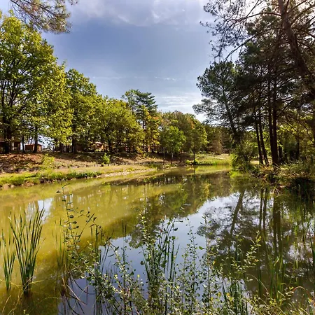 1 De L'orée Du Bois * Thenon