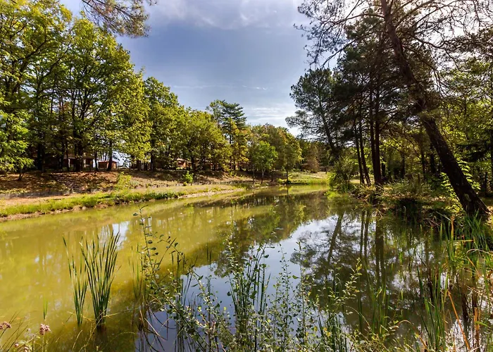 1 De L'oree Du Bois * Thenon